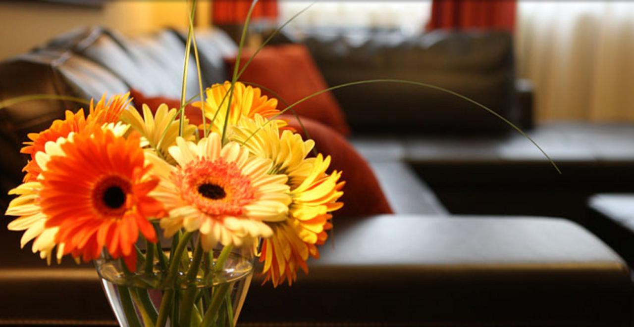 ฮ็อคลีย์ แวลเลย์ รีสอร์ต Hotel ออเรนจ์วิลล์ ภายนอก รูปภาพ